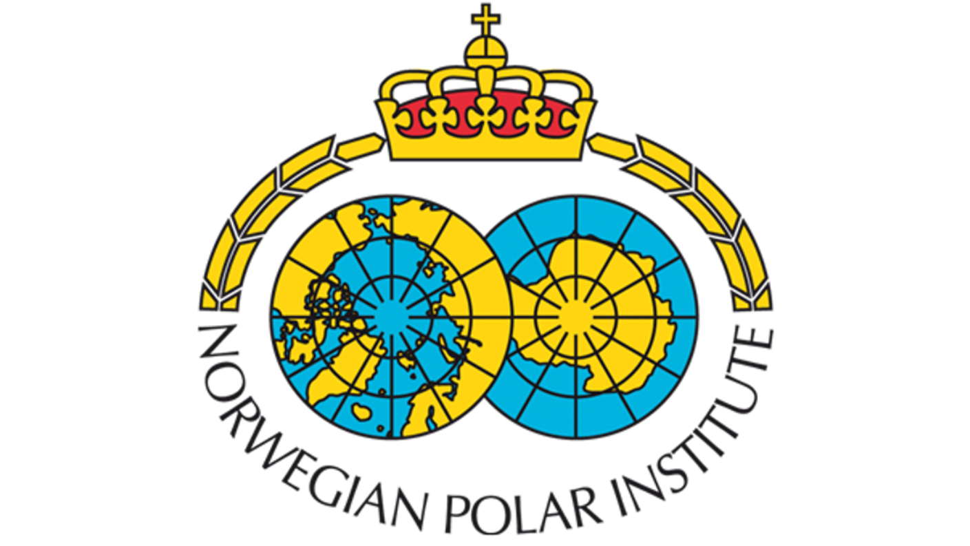 NPI logo